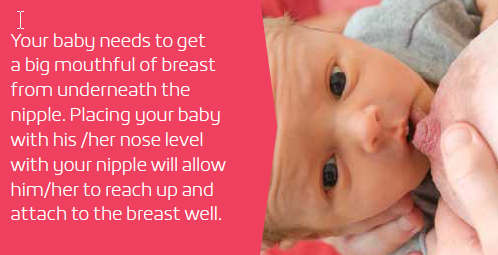 1.breastfeedingr
